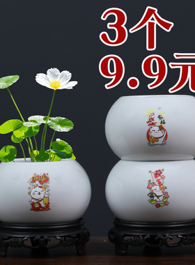 简约白色陶瓷多肉文竹水培铜钱草小花盆无孔绿植容器桌面花器清仓