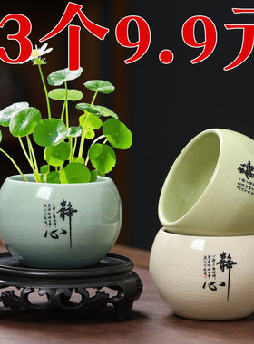 陶瓷哥窑开片陶瓷水培小花盆无孔