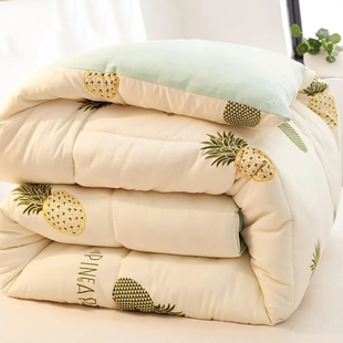 新款式被子冬天加厚冬被保暖棉被冬季学生被芯宿舍单人双人空调被 券刀刀 精选淘宝优惠券 领券享受优惠吧