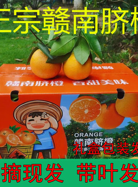 正宗赣南脐橙江西橙子带叶甜橙新鲜水果20斤赣州5安远基地直发10
