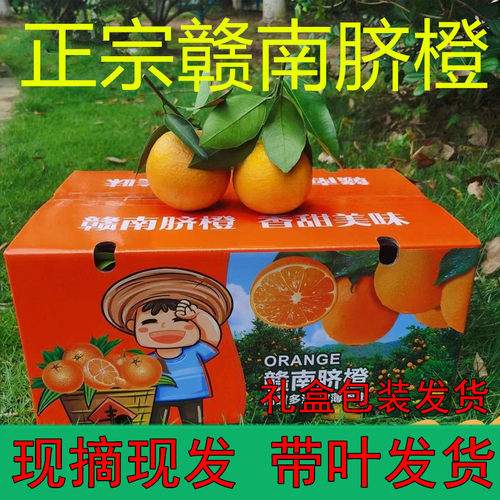 正宗赣南脐橙江西橙子带叶甜橙新鲜水果20斤赣州5安远基地直发10