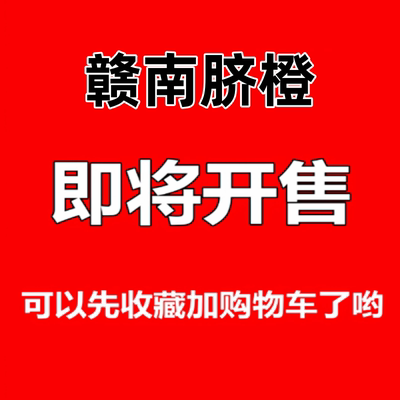 当季新鲜橙子现摘水果榨汁酸甜
