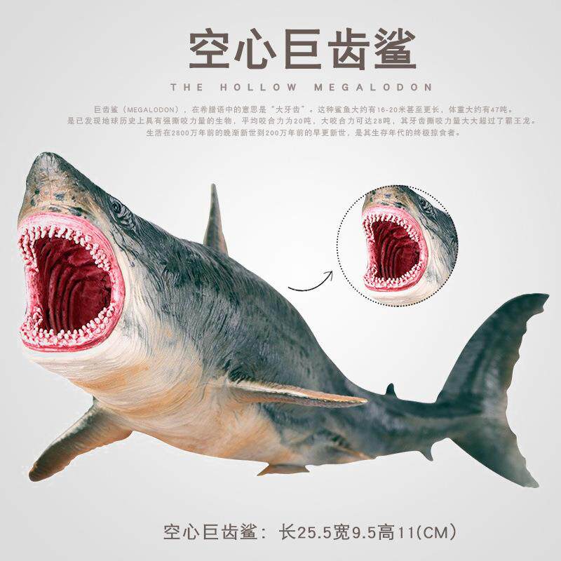 仿真海洋动物生物模型大号鲨鱼大白鲨巨齿鲨虎鲨塑胶摆件玩具手办