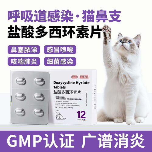 猫鼻支用药感冒药打喷嚏流鼻涕