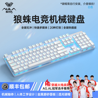 【十年老店】狼蛛热插拔机械键盘