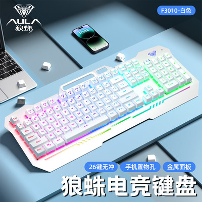 狼蛛F3010有线机械手感键盘电竞游戏办公电脑笔记本通用外设套装