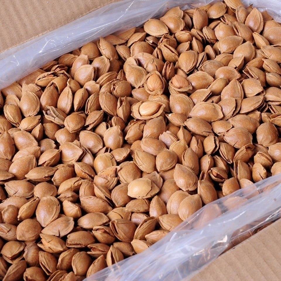 张家口蔚县地方特产休闲食品开口五香杏核散装坚果炒货2斤新货