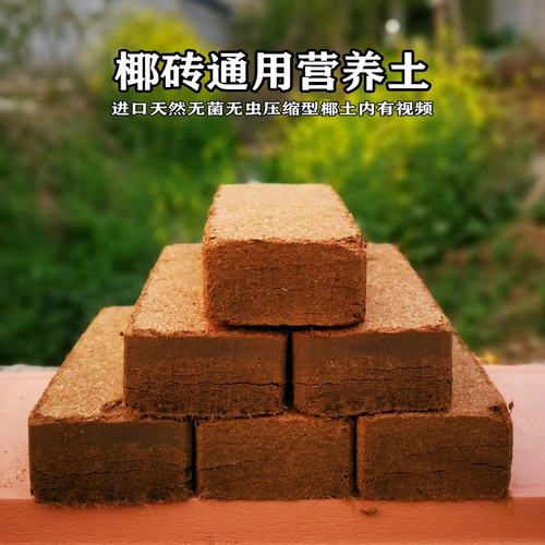 进口椰砖椰土椰糠椰粉砖650g种菜种植土无菌兰花土营养土爬宠垫材