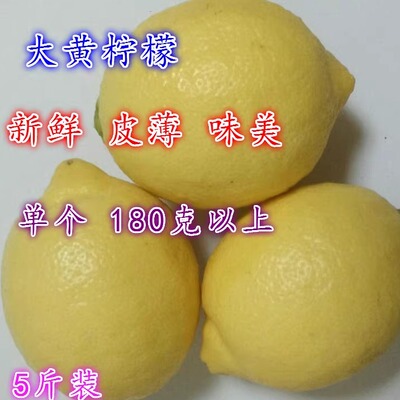 5-10大黄现采摘浓香大果黄柠檬