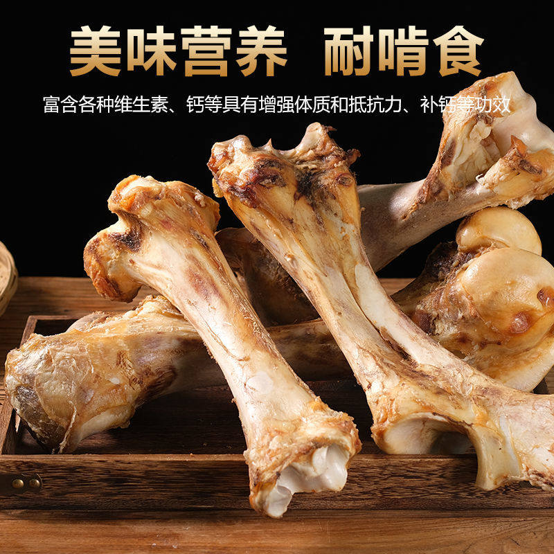 狗骨头玩具素材模板 狗骨头玩具图片下载 小麦优选