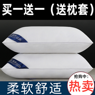 枕头枕芯护颈椎助睡眠枕头套和枕芯一套成人家用一对不塌陷不变形
