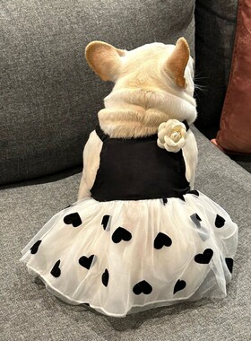 宠物衣服狗狗猫咪吊带连衣裙子法斗柯基泰迪比熊夏季休闲棉黑色