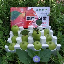 大凉山盐源苹果青苹果金帅丑苹果孕妇水果新鲜苹果西昌青苹果当季