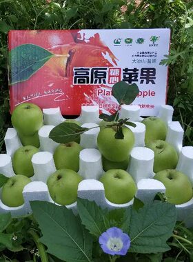 大凉山盐源苹果青苹果金帅丑苹果孕妇水果新鲜苹果西昌青苹果当季