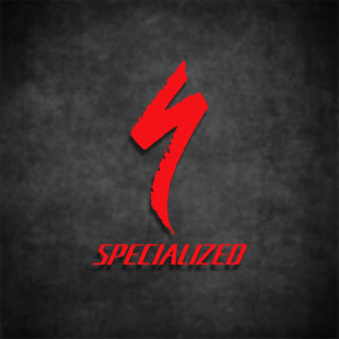 车贴s specialized闪电山地车自行车前叉架环法贴 works