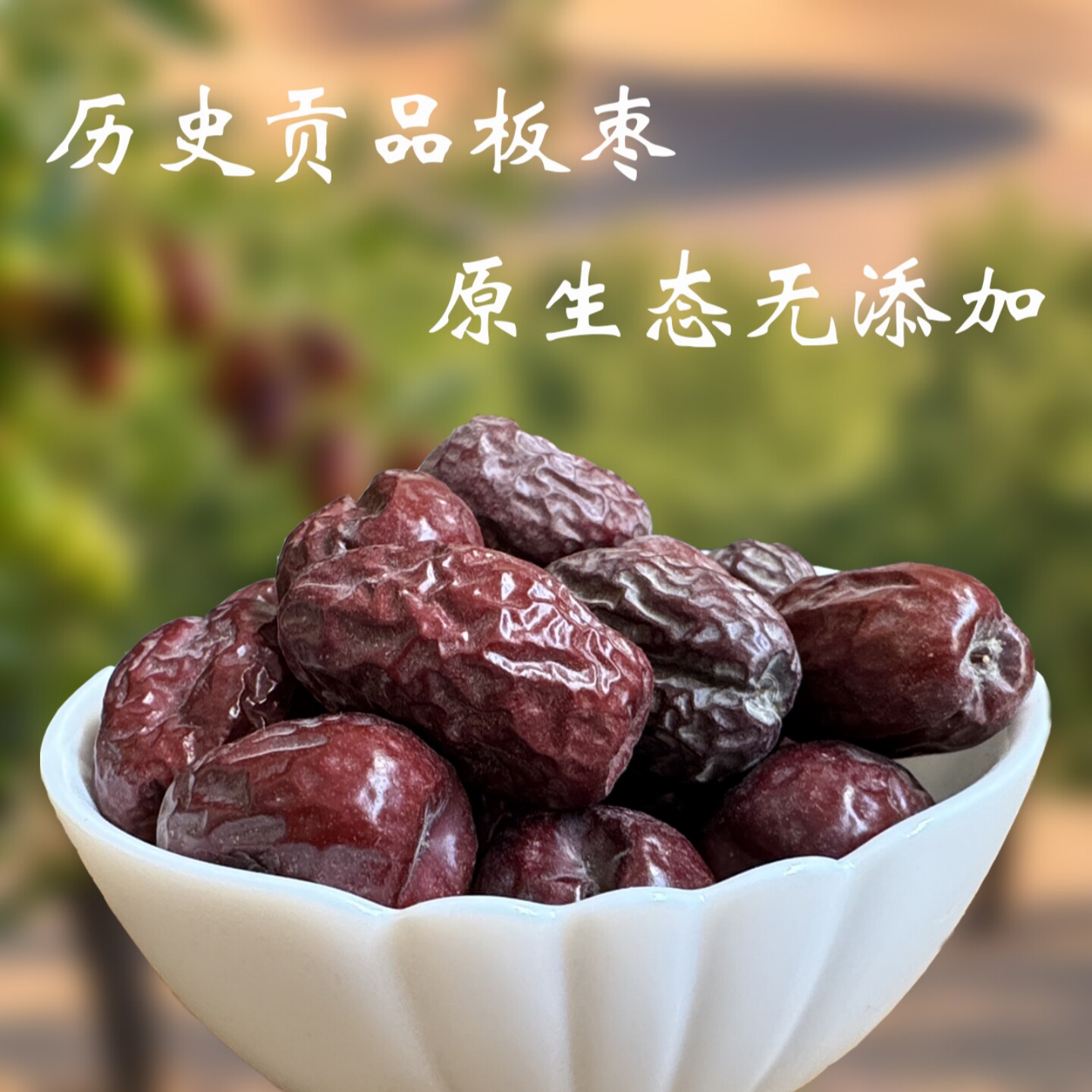 新疆若羌初心红枣新品板枣500克包邮无添加无人工干预自然坐果