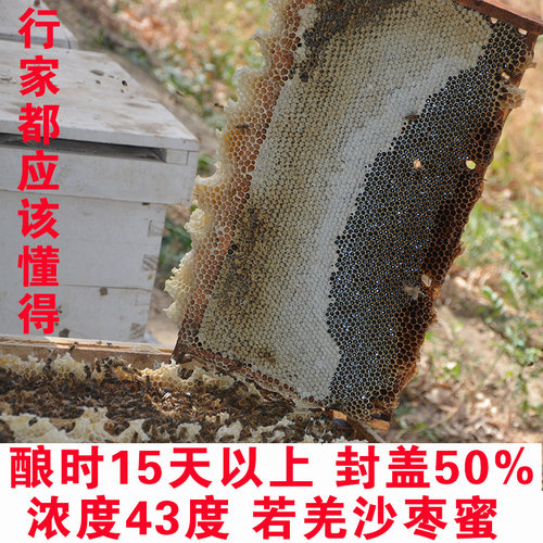 天然土蜂蜜新疆农家自产无添加若羌沙枣蜜原蜜一斤包邮