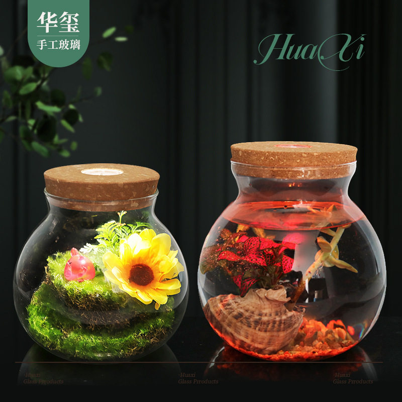 水培植物花瓶海藻球玻璃景观瓶圆形微景观生态瓶观赏瓶密封罐器皿