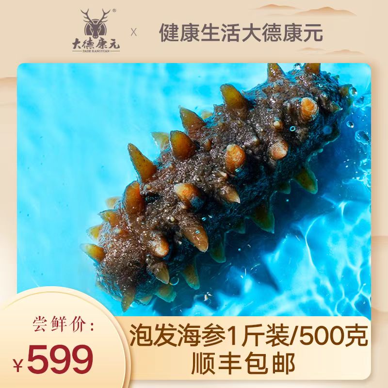 大德康元大连即食淡干海参泡发一斤装500g营养8-12只顺丰发货