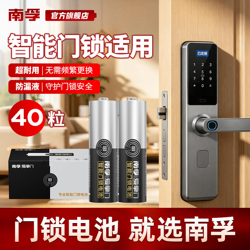 南孚门锁定制装专用电池图片