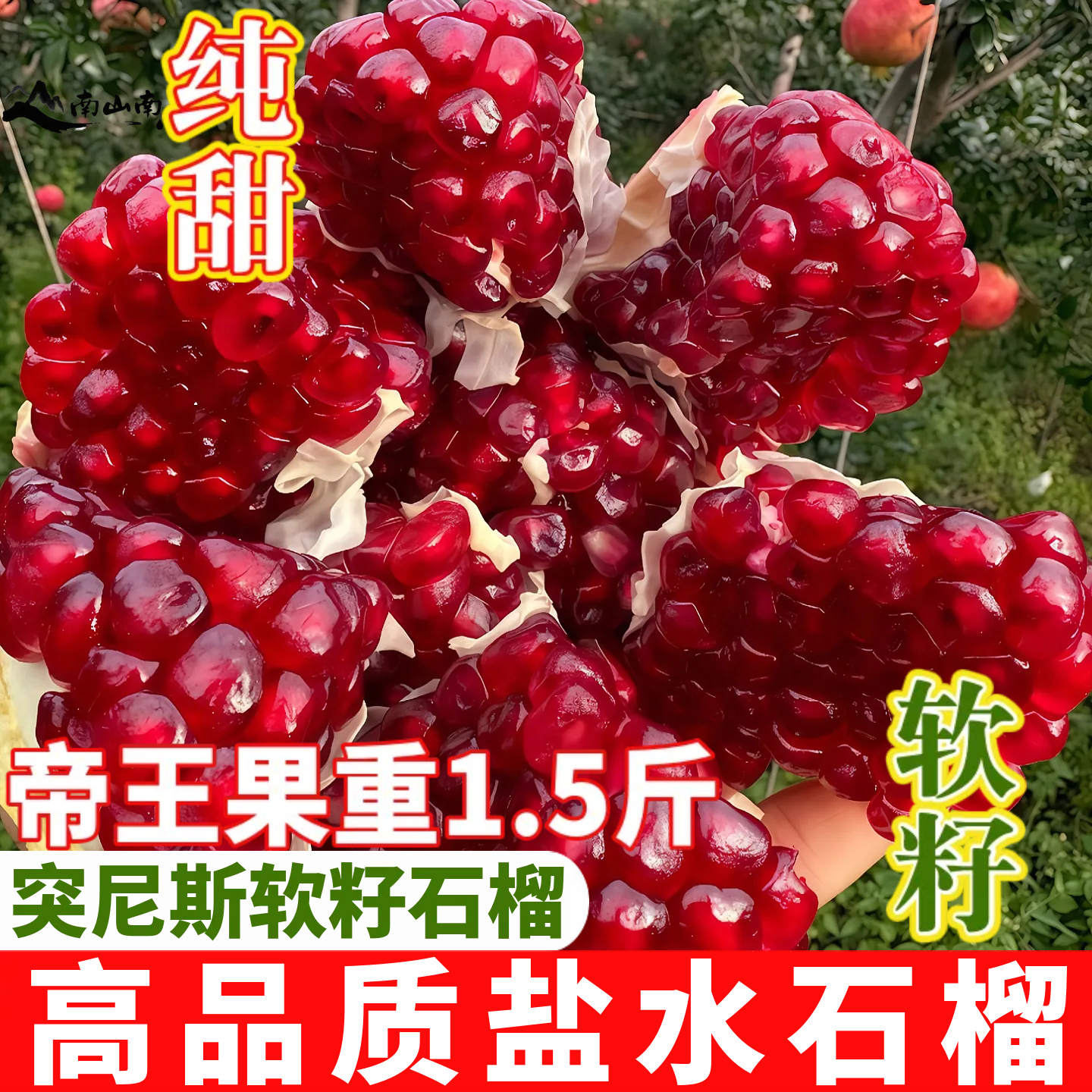 【又大又甜】云南会泽盐水石榴