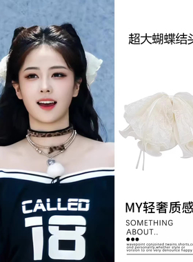 奔跑吧白鹿同款白色蕾丝蝴蝶结发夹女后脑勺2026新款绝美抓夹头饰