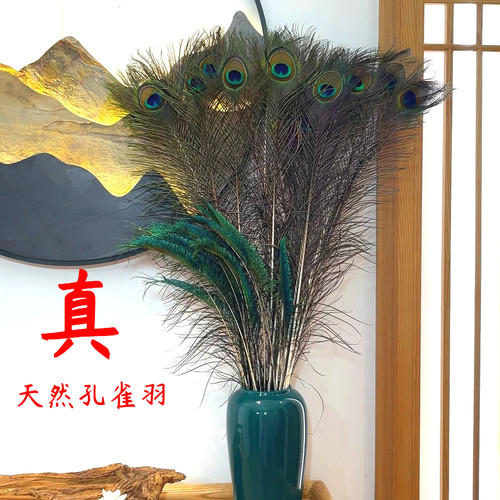 纯天然真孔雀羽毛饰品摆件
