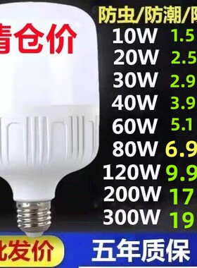 led灯泡家用E27螺口节能灯白光超亮室内护眼无频闪大功率照明球泡