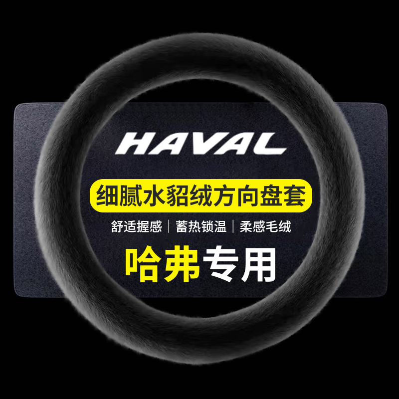 冬季水貂绒哈弗H6第三代二