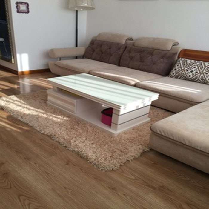 加厚长毛绒亮丝弹力丝地毯卧室满铺现代简约客厅纯色沙发茶几地毯