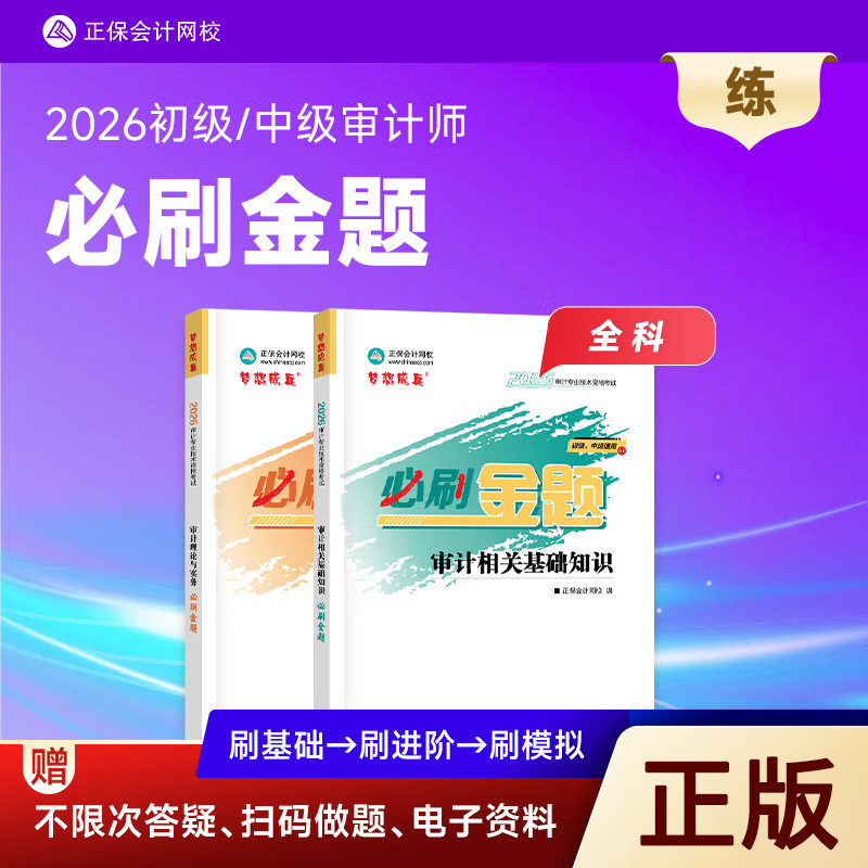 正版新书 全套2026年审计师必刷金题初级审计师教材辅导书中级审计师题库审计理论与实务专业审计相关基础知识真题模拟试卷