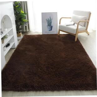 Fluffy Area Rugs for Bedroom Shaggy Floor Mat Carpet 地毯垫1