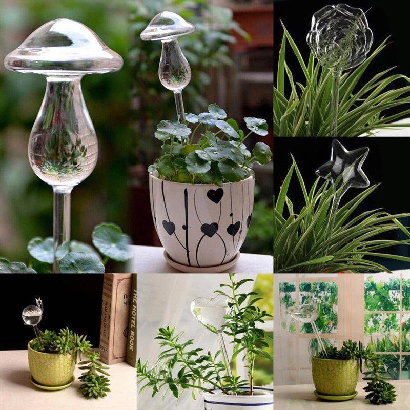 6 Types Glass Plant Flowers Water Feeder Automatic Self Wat1
