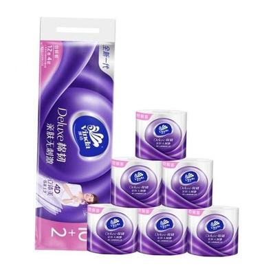 Paper Towels Toilet Tissue Paper Portable 10 Rolls Family