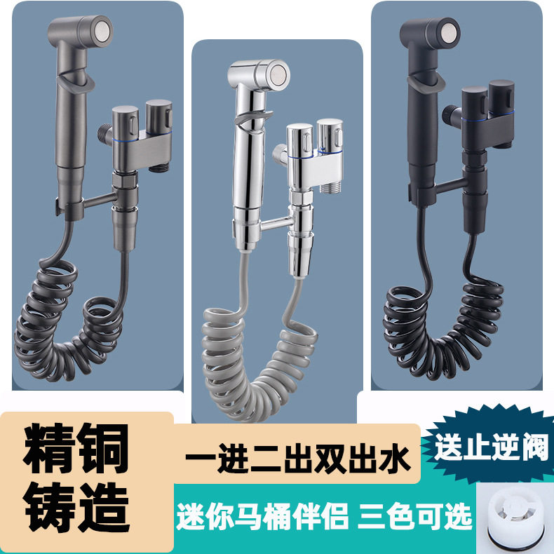一进二出小空间马桶伴侣喷枪妇洗