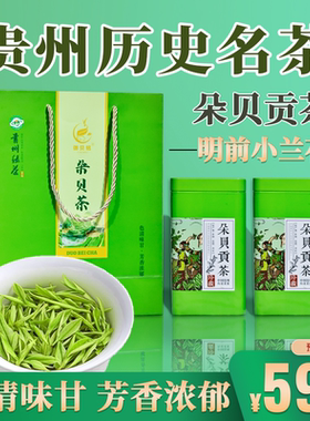 茶叶绿茶新茶特级明前嫩芽高山云雾茶罐装高端送礼名茶贵州朵贝茶