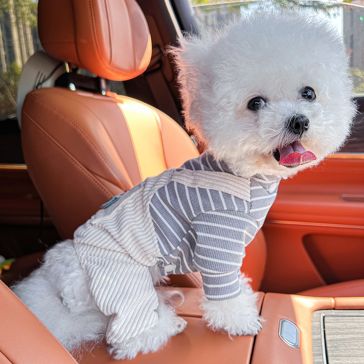 宠物猫咪秋冬狗狗衣服背带裤