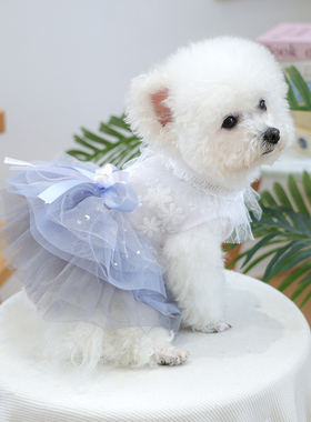 狗狗衣服春夏宠物公主裙婚纱礼服纱裙小狗裙子比熊约克夏马尔济斯