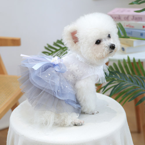 PETCIRCLE春夏公主裙狗狗衣服