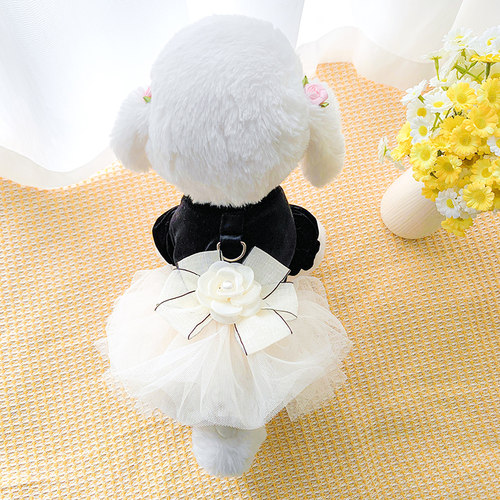 公主裙礼服狗狗衣服宠物猫裙子咪