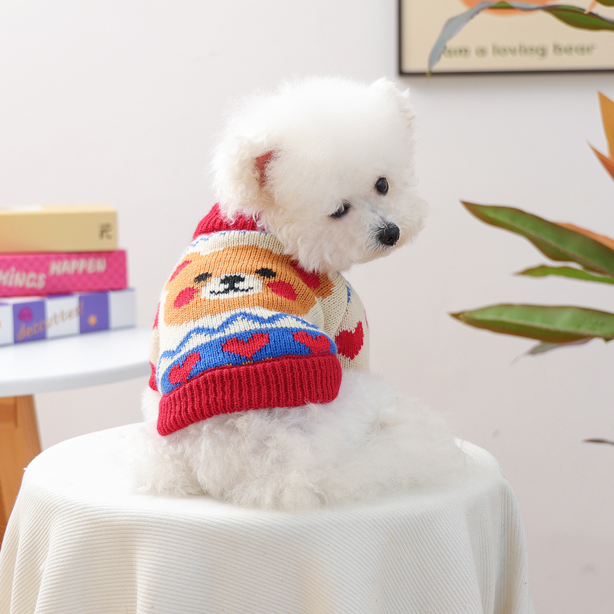 petcircle狗狗衣服宠物比熊小狗