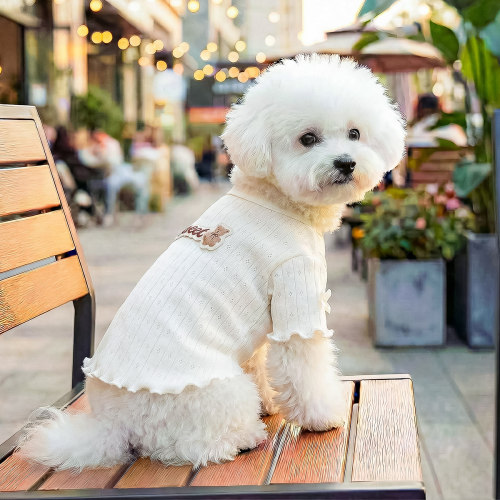狗狗春夏薄款圆领衫猫咪宠物两脚