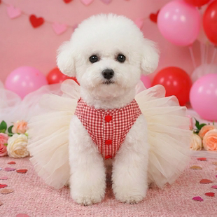 狗狗衣服红色情人节公主裙爱心蓬蓬裙泰迪博美比熊猫咪宠物裙子薄