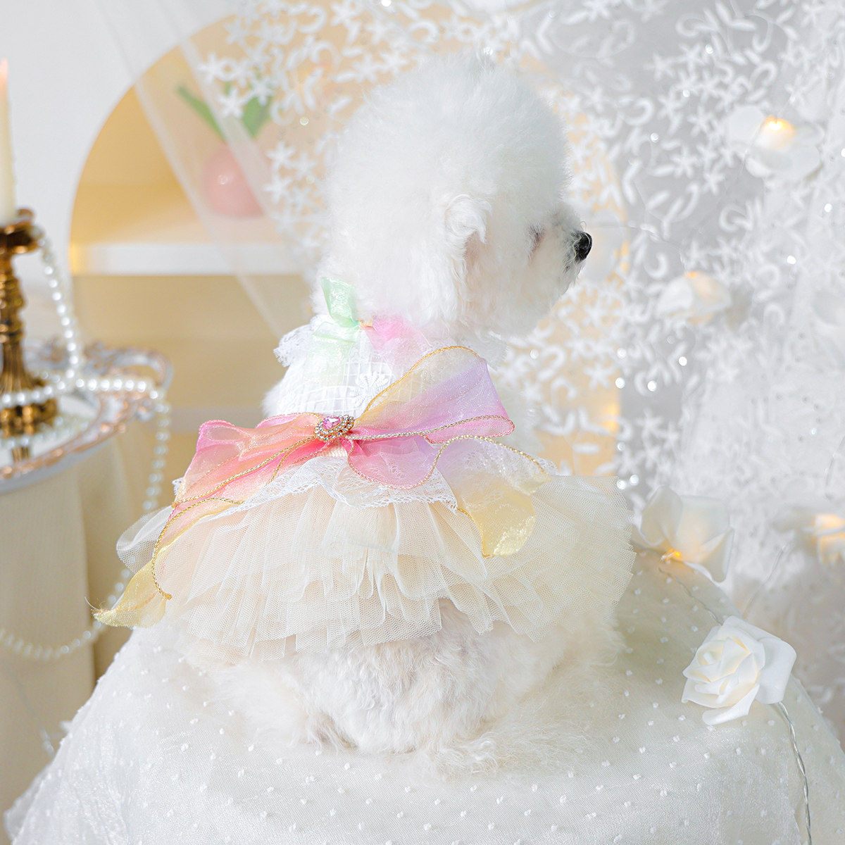 狗狗衣服公主裙仙女裙子婚纱礼服泰迪博美比熊小狗小型犬马尔济斯