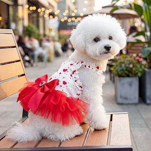 狗狗衣服春夏薄款碎花裙公主蓬蓬裙小狗猫咪裙子红色泰迪博美比熊