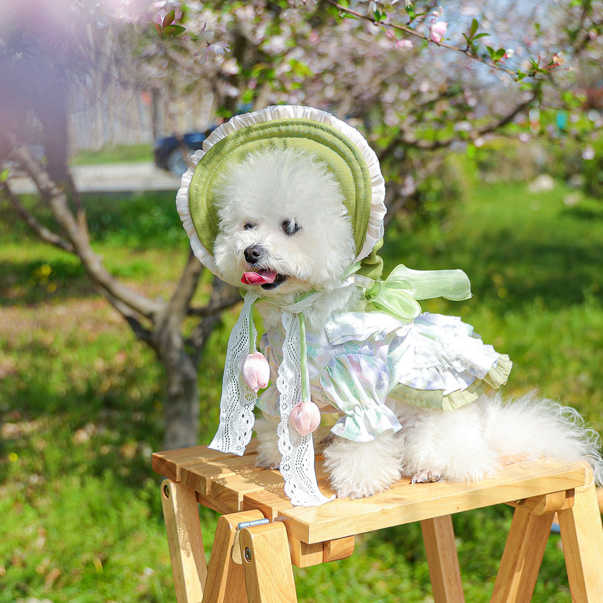 Petcircle 狗狗衣服宠物猫咪裙子春夏公主裙泰迪博美比熊小狗绿色