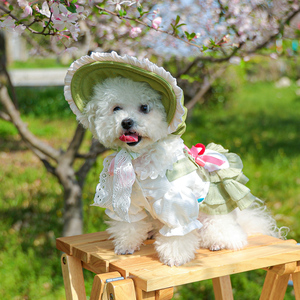 PETCIRCLE狗狗衣服夏天绿色裙子