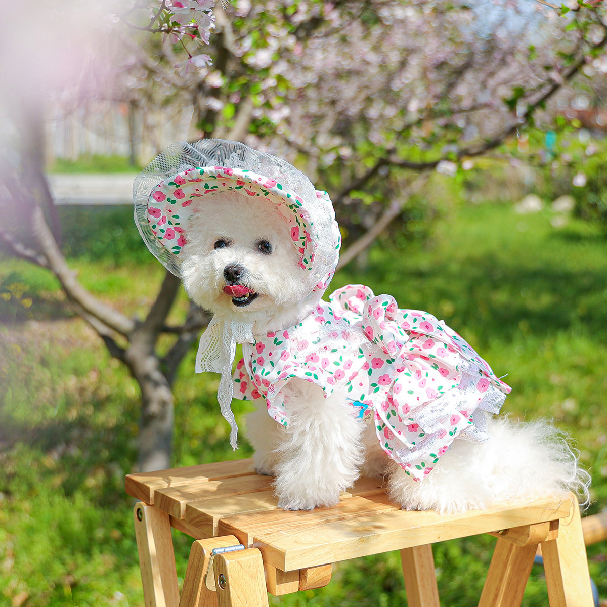 Petcircle 狗狗衣服宠物猫咪裙子公主泰迪博美比熊小狗夏天碎花裙