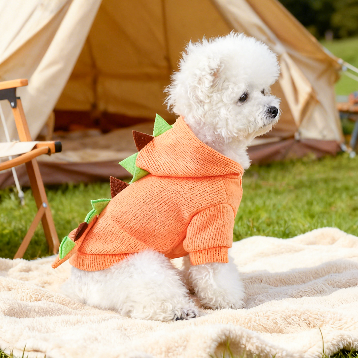 狗狗衣服泰迪博美比熊牵引卫衣