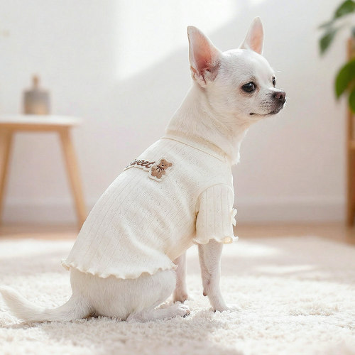 狗狗衣服宠物春夏打底衫比熊圆领